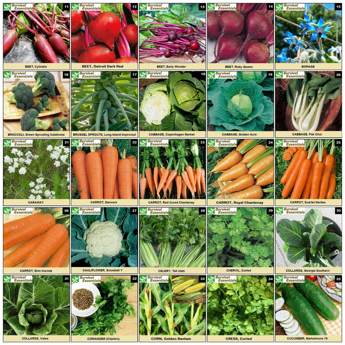 Survival Essentials vegetable and fruit seeds support diverse, non-GMO homegrown produce.