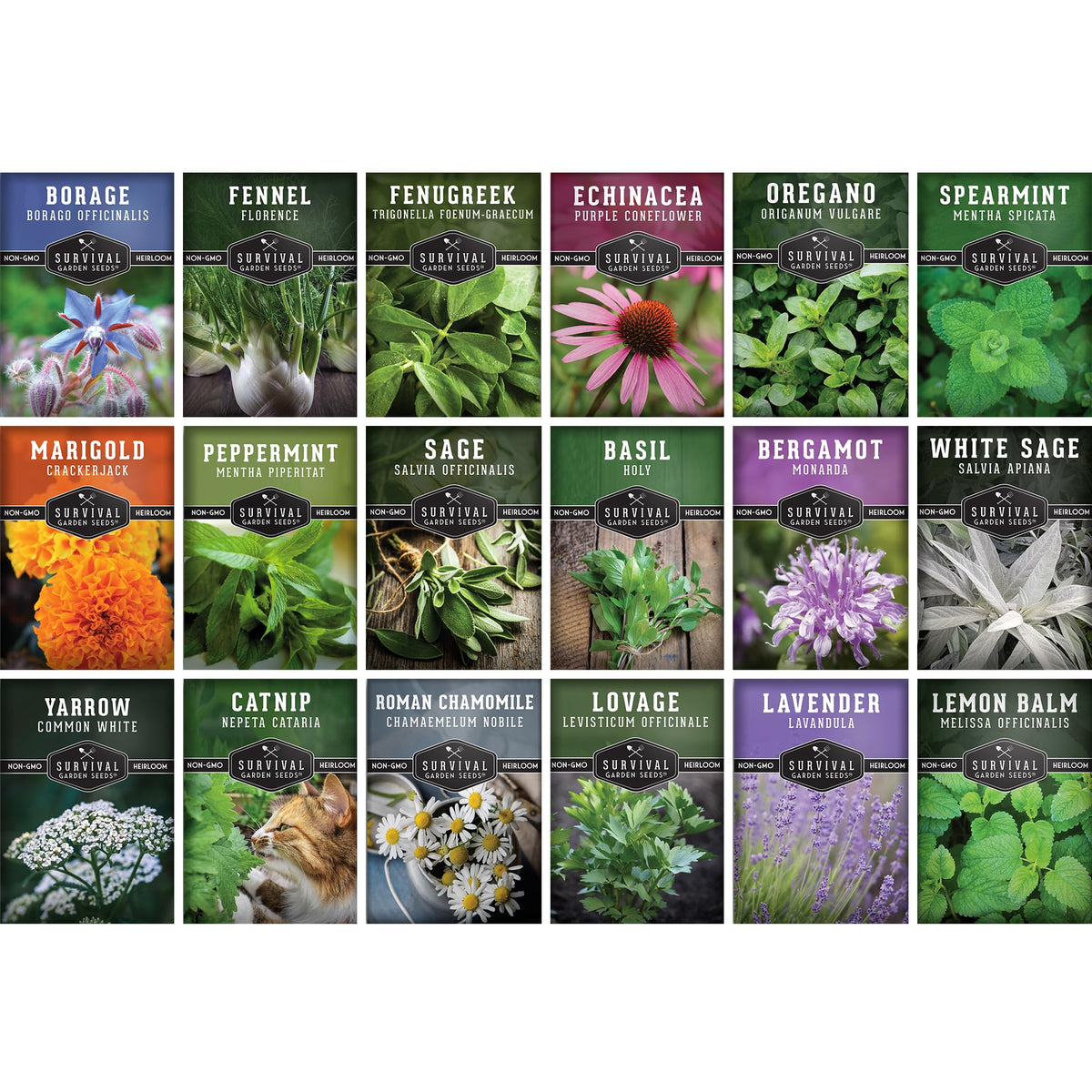 SURVIVAL GARDEN SEEDS 18-herb seed pack for home apothecary and herbal teas.