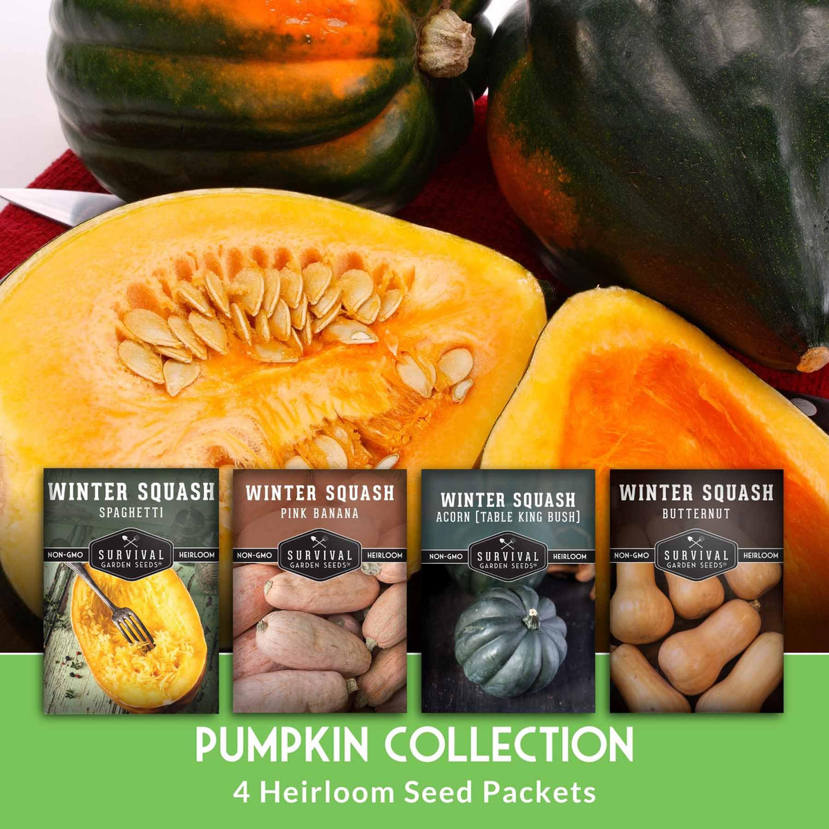 SURVIVAL GARDEN SEEDS acorn squash seeds ideal for small-space gardening and storage