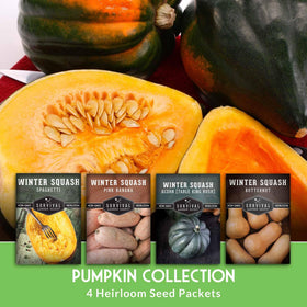 SURVIVAL GARDEN SEEDS acorn squash seeds ideal for small-space gardening and storage