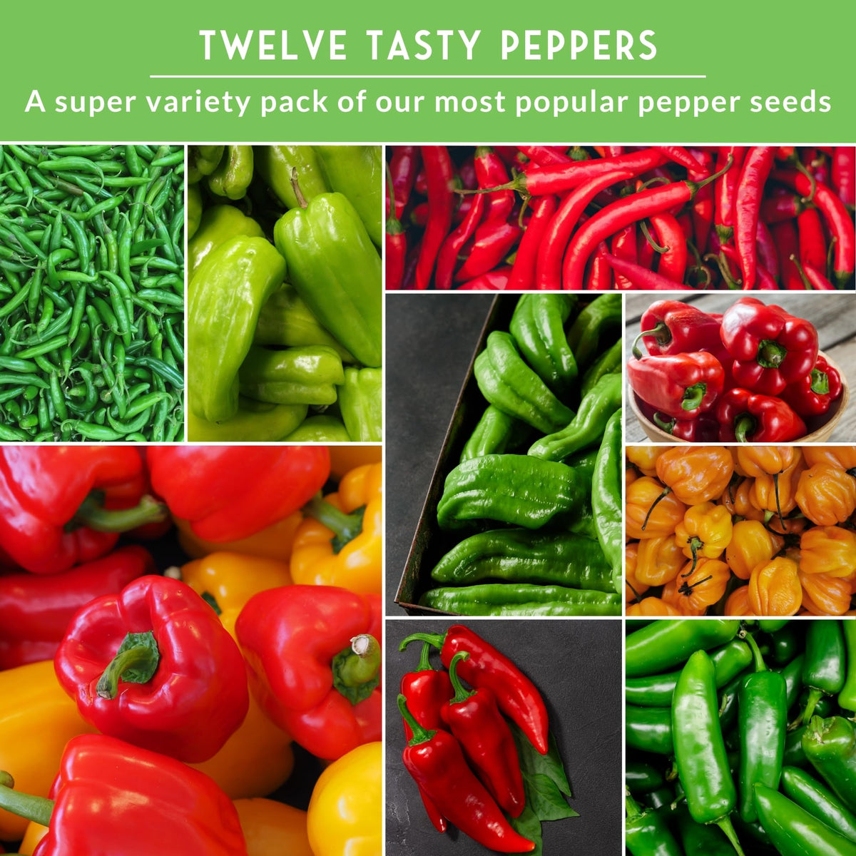 SURVIVAL GARDEN SEEDS Anaheim pepper seed image, medium peppers great for roasting and mild heat