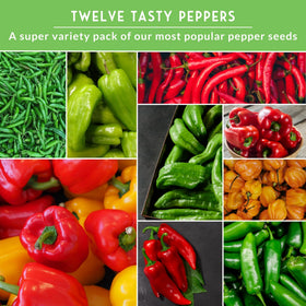 SURVIVAL GARDEN SEEDS Anaheim pepper seed image, medium peppers great for roasting and mild heat