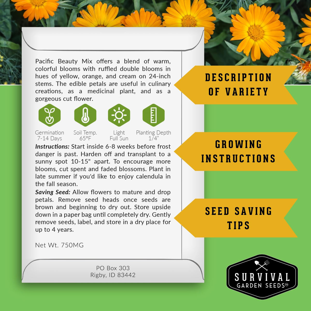 Survival Garden Seeds Apricot Beauty calendula seed pack with warm, sunny blossoms for borders.