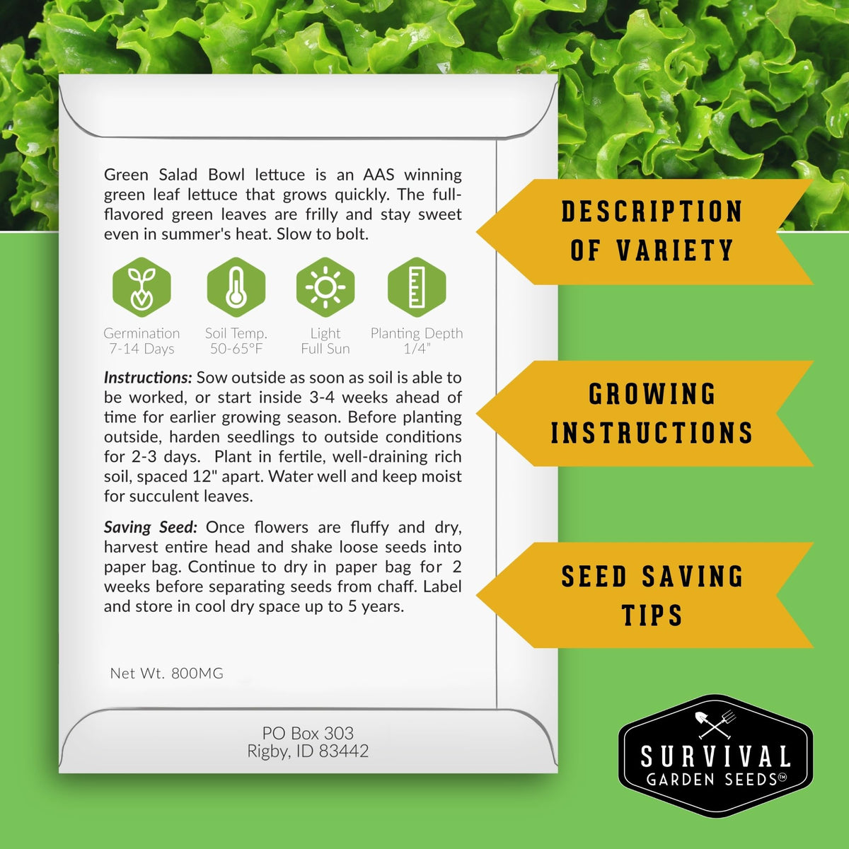 Survival Garden Seeds arugula leaves add peppery flavor to sandwiches