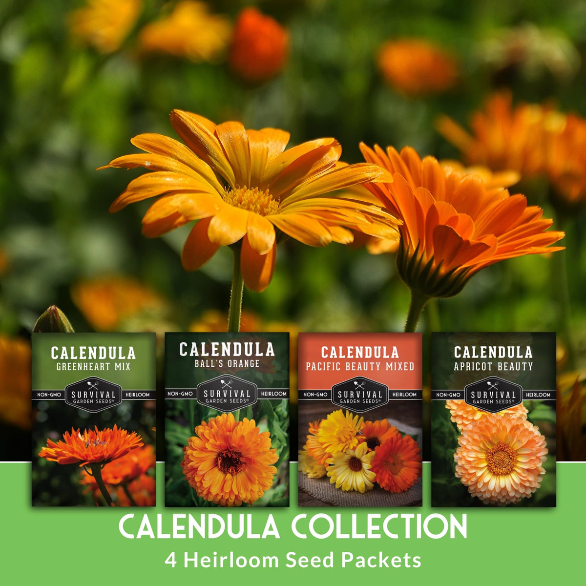 Survival Garden Seeds Balls Orange calendula seed pack featuring bold, ball-shaped blooms for containers.
