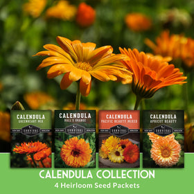 Survival Garden Seeds Balls Orange calendula seed pack featuring bold, ball-shaped blooms for containers.