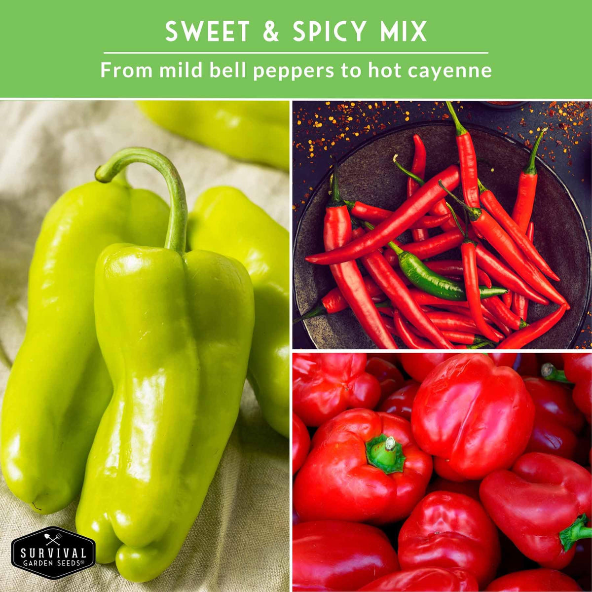 SURVIVAL GARDEN SEEDS Big Red peppers maturing, versatile for grilling.