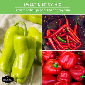 SURVIVAL GARDEN SEEDS Big Red peppers maturing, versatile for grilling.
