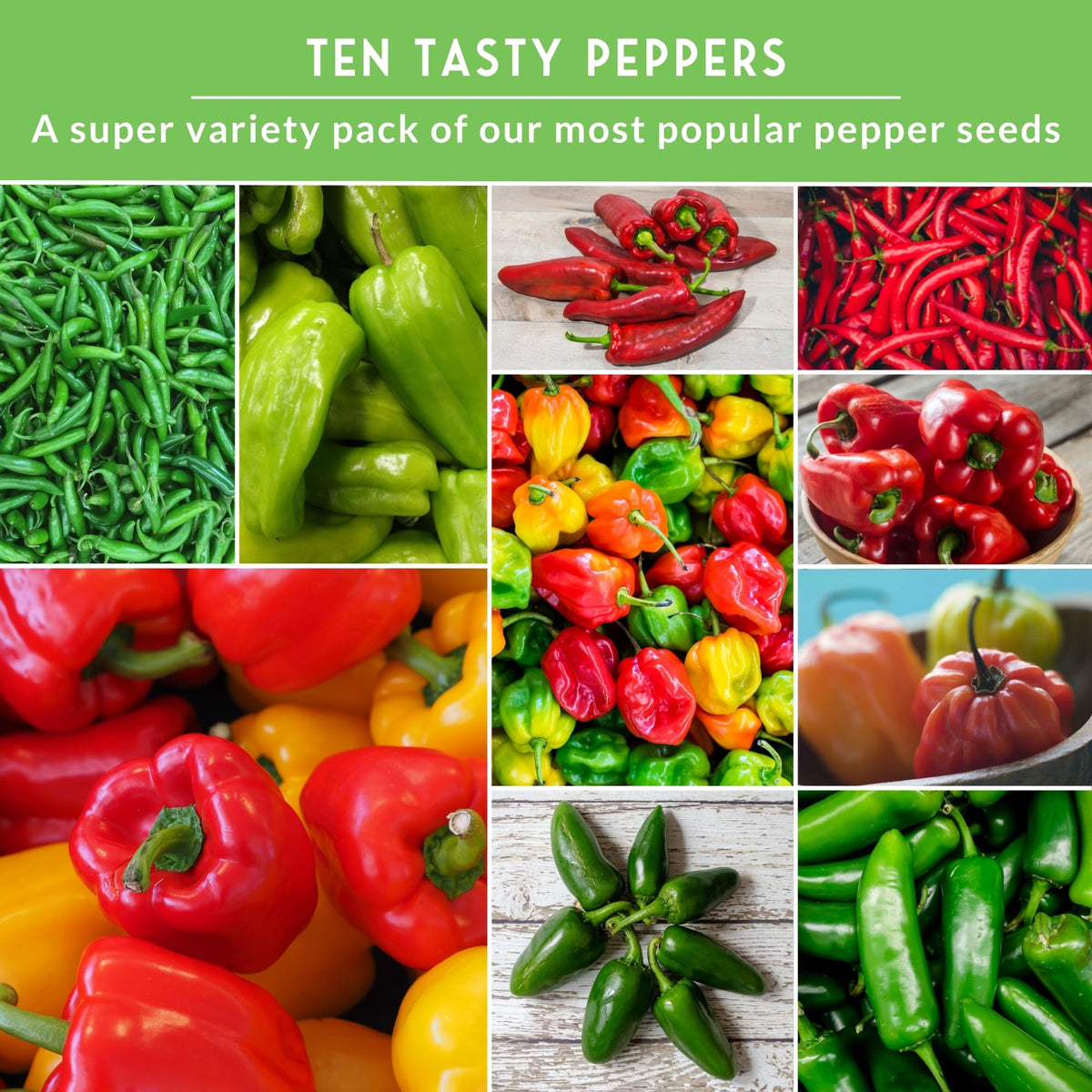 SURVIVAL GARDEN SEEDS big red pepper seeds for sweet bells