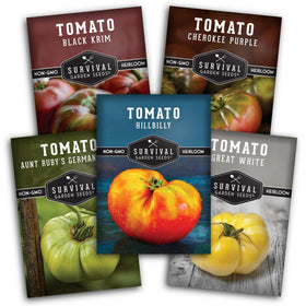 SURVIVAL GARDEN SEEDS Black Krim tomatoes ripe for bold salads