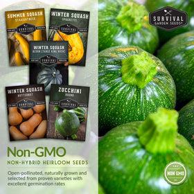 Survival Garden Seeds Butternut squash seed packet for storage-friendly harvest.