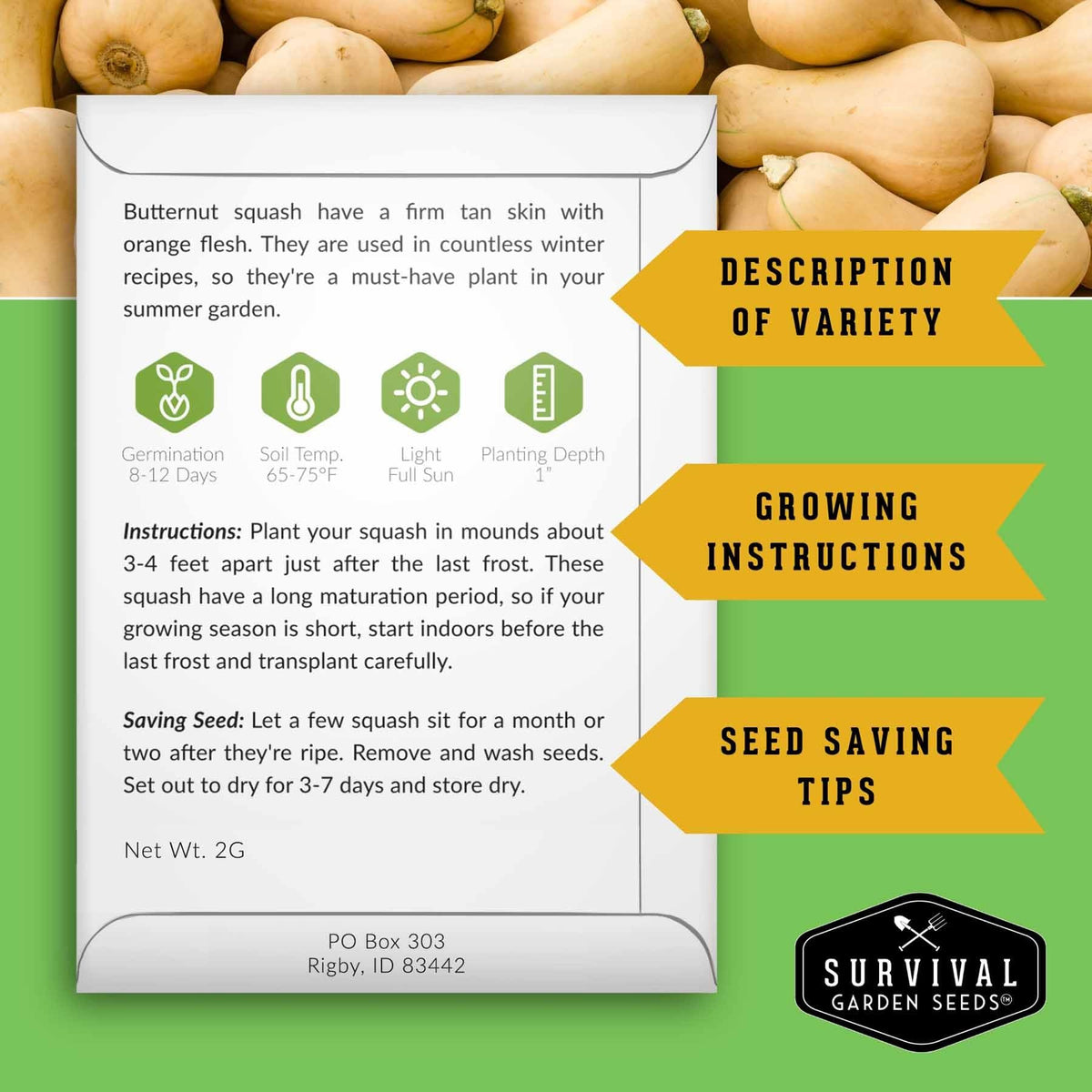 SURVIVAL GARDEN SEEDS butternut squash seeds for rich orange-fleshed harvests