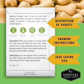 SURVIVAL GARDEN SEEDS butternut squash seeds for rich orange-fleshed harvests