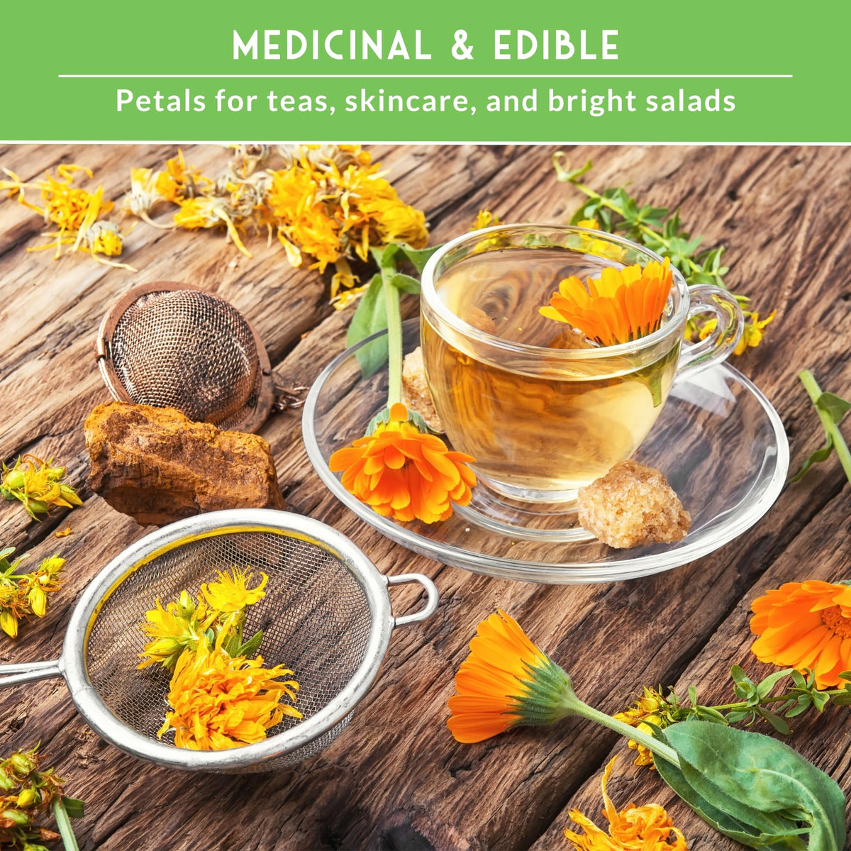 Survival Garden Seeds calendula petal closeup highlighting edible petals and color variety.