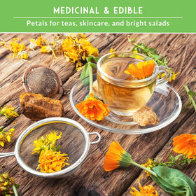 Survival Garden Seeds calendula petal closeup highlighting edible petals and color variety.