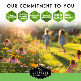 Survival Garden Seeds calendula seedlings in soil ready for garden transplantation.