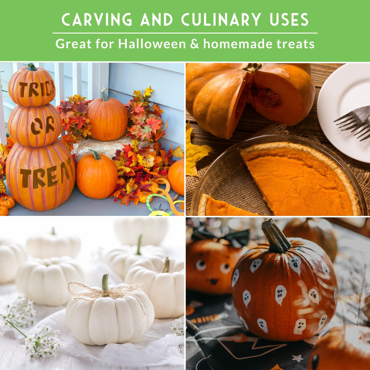 SURVIVAL GARDEN SEEDS casper pumpkin seeds for ghostly white, decorative pumpkins.
