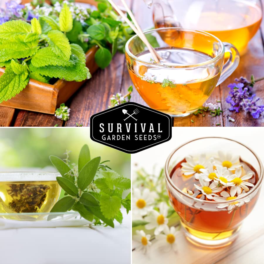 Survival Garden Seeds catnip seed pack for calming brews