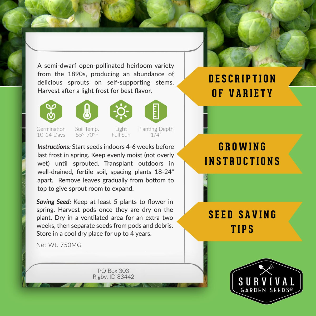 SURVIVAL GARDEN SEEDS catskill Brussels sprouts seeds pack for large yields