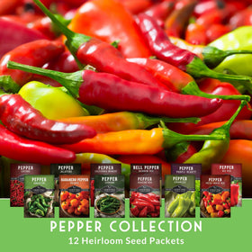 SURVIVAL GARDEN SEEDS cayenne pepper seed image, slender red pods ideal for drying and spice blends