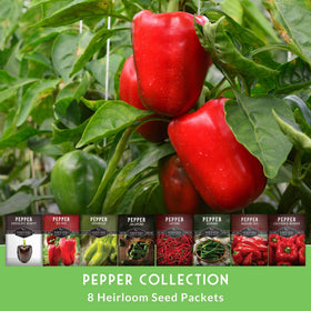SURVIVAL GARDEN SEEDS Cayenne peppers on bush, great for spice blends.