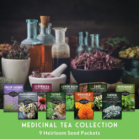 Survival Garden Seeds chamomile seed pack for soothing tea infusions