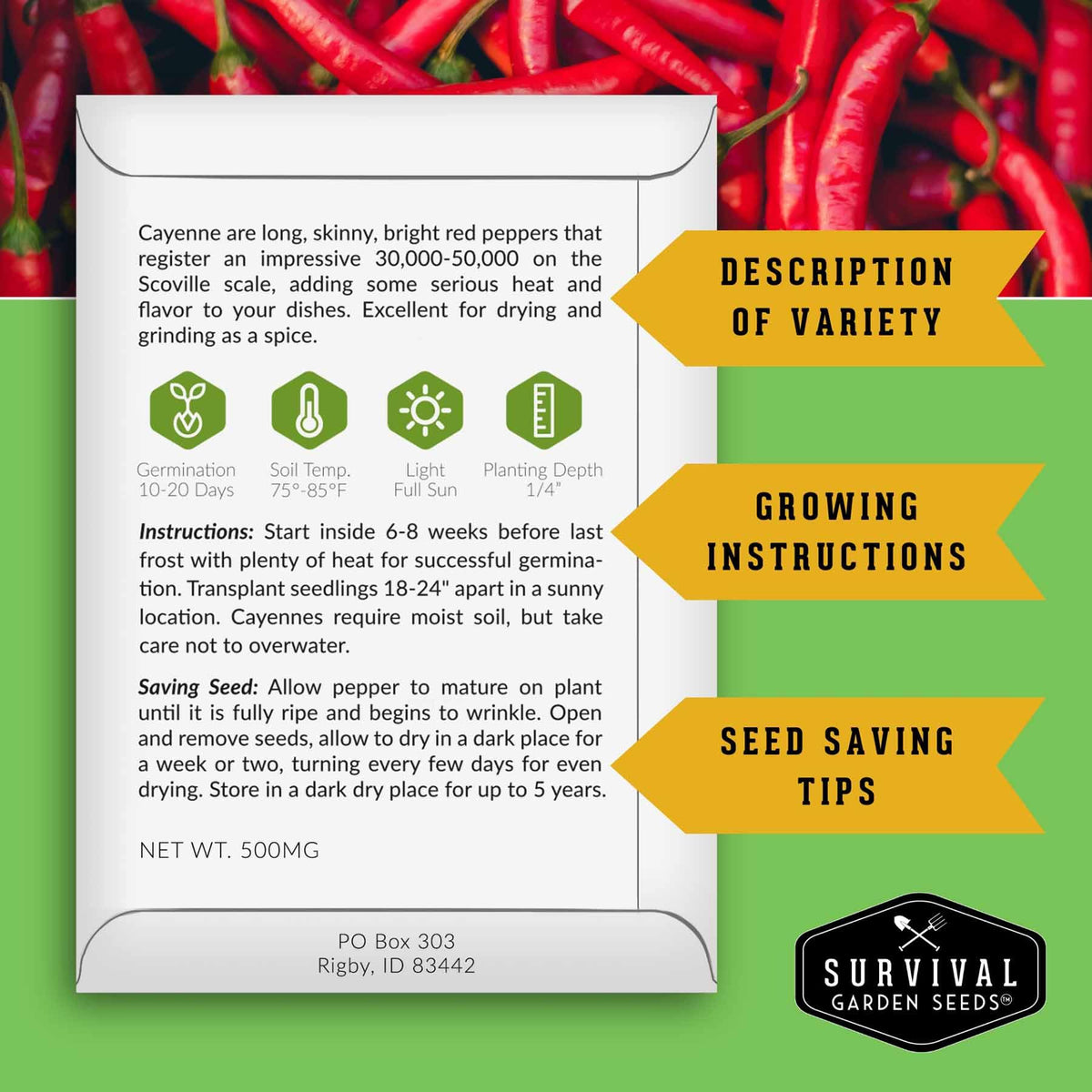 SURVIVAL GARDEN SEEDS Chocolate Beauty peppers on plant, perfect for roasting.