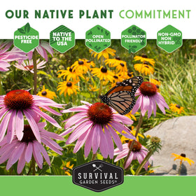 SURVIVAL GARDEN SEEDS compact sunflowers—classic native blooms for pollinator gardens