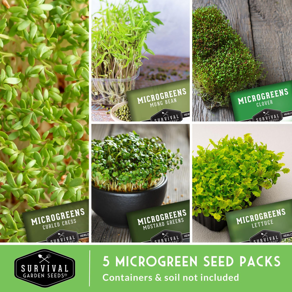 SURVIVAL GARDEN SEEDS curled cress microgreens seeds for fresh garden flavor at home