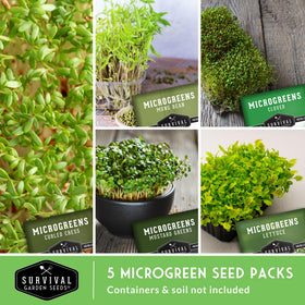 SURVIVAL GARDEN SEEDS curled cress microgreens seeds for fresh garden flavor at home