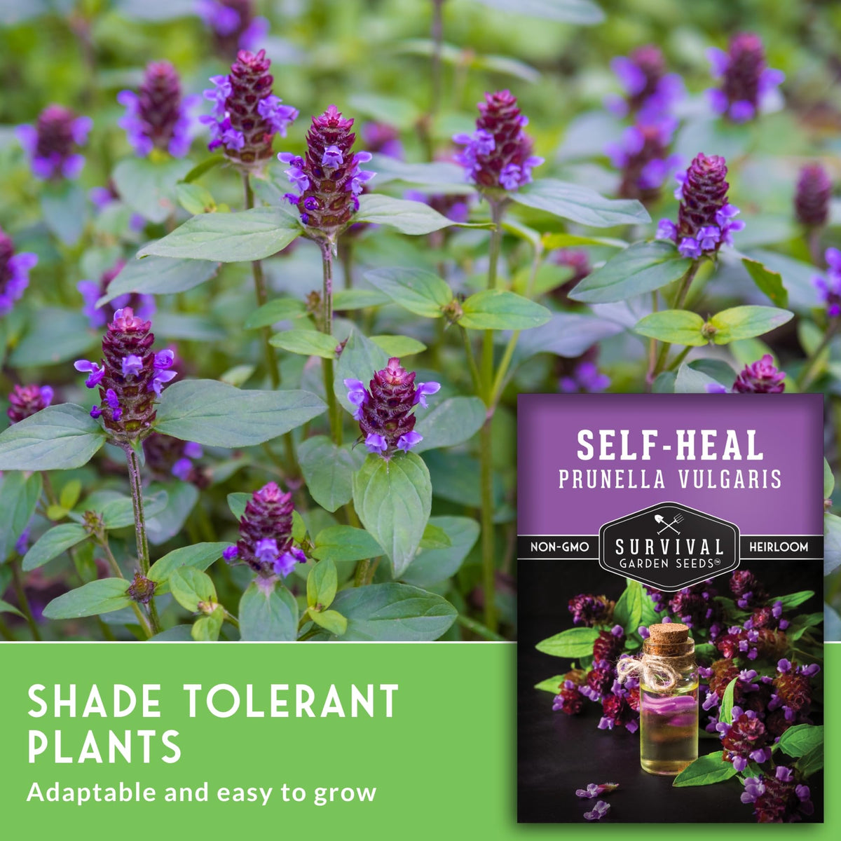 SURVIVAL GARDEN SEEDS Direct sow tips for spring or fall.