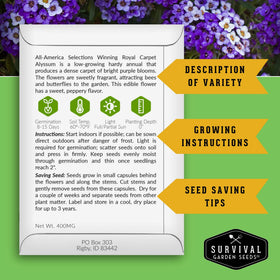 Survival Garden Seeds fragrant alyssum bloom brightens garden edges