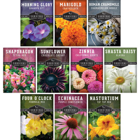 SURVIVAL GARDEN SEEDS Giant Zinnia blooms brighten borders for months