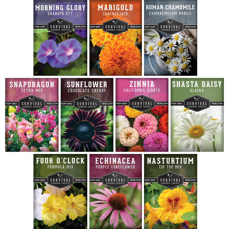SURVIVAL GARDEN SEEDS Giant Zinnia blooms brighten borders for months
