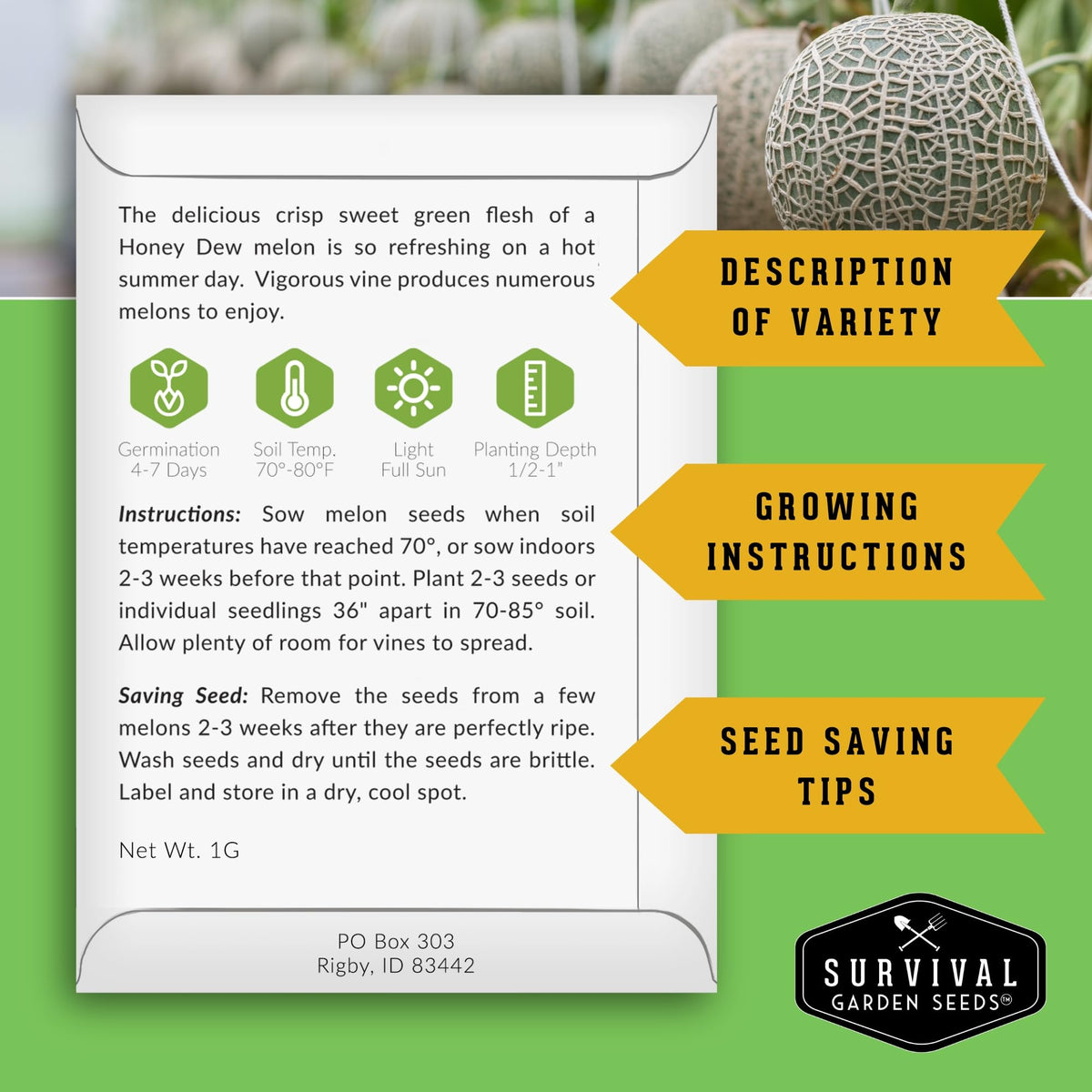 Survival Garden Seeds Hale's Best cantaloupe seed pack close-up on heirloom quality