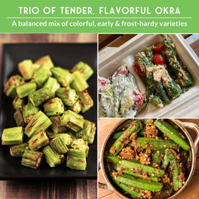SURVIVAL GARDEN SEEDS heat-tolerant okra thrives in hot southern sun.