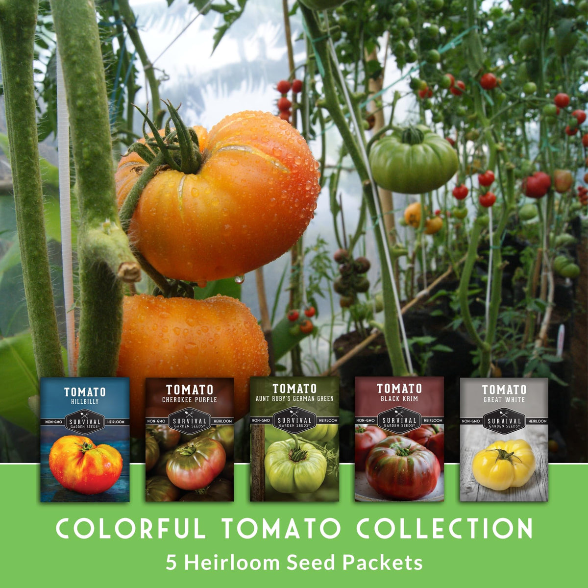 SURVIVAL GARDEN SEEDS Hillbilly tomatoes for smoky-sweet slices in salads