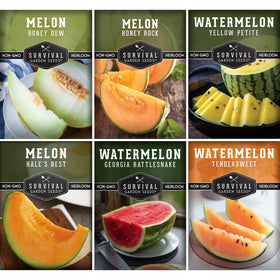 Survival Garden Seeds Honey Rock cantaloupe seed pack front view for easy planting