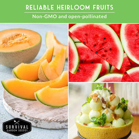 SURVIVAL GARDEN SEEDS Honey Rock Muskmelon seeds for sweet bounty on trellises or beds