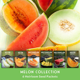 Survival Garden Seeds Honeydew melon seed pack display promotes homegrown freshness
