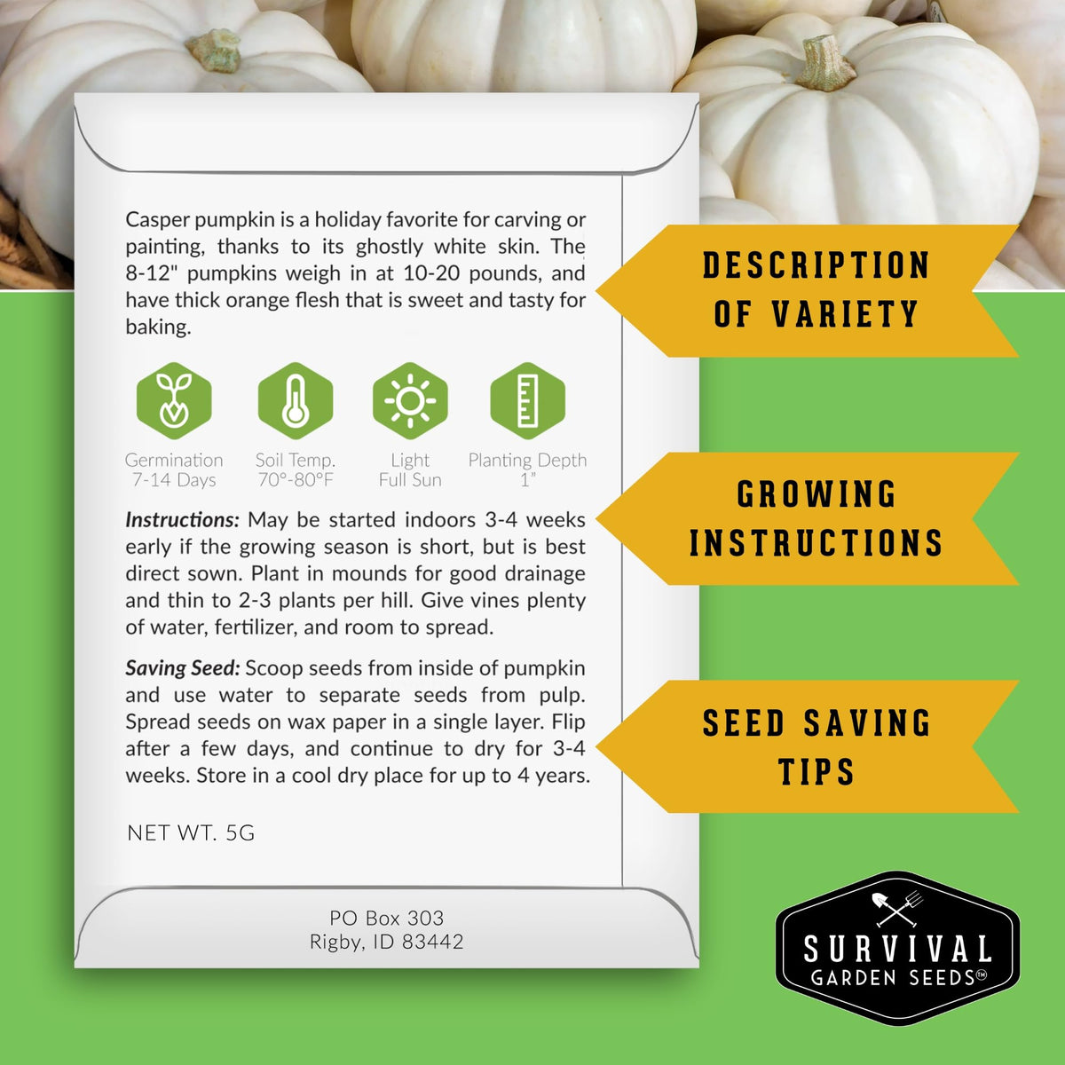 SURVIVAL GARDEN SEEDS jack-o-lantern pumpkin seeds for vibrant Halloween carving.