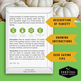 SURVIVAL GARDEN SEEDS jack-o-lantern pumpkin seeds for vibrant Halloween carving.