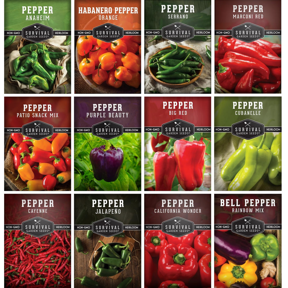 SURVIVAL GARDEN SEEDS jalapeño pepper seed image, vibrant peppers ideal for fresh eating and roasting