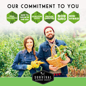Heritage Mexican variety celebrates traditional cultivation and flavor