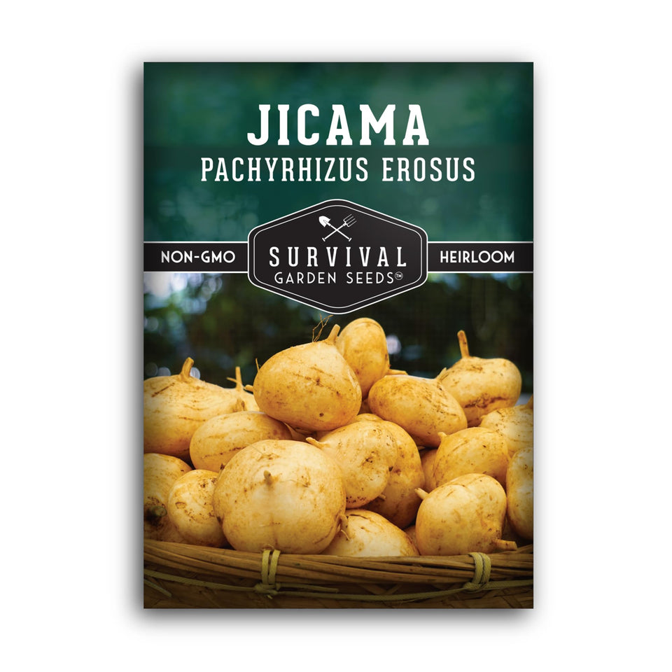 SURVIVAL GARDEN SEEDS jicama seed pack for starting a tropical root crop at home