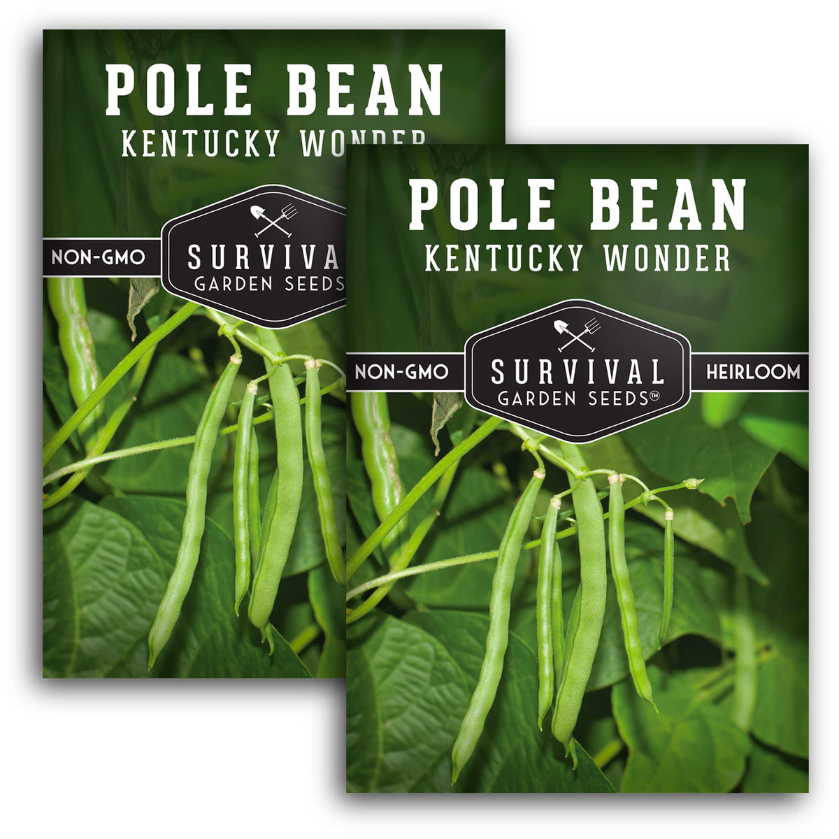 SURVIVAL GARDEN SEEDS Kentucky Wonder beans climb a trellis for vertical growing.