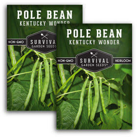 SURVIVAL GARDEN SEEDS Kentucky Wonder beans climb a trellis for vertical growing.
