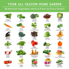 Survival Garden Seeds labeled seed envelopes organizing 30 heirloom varieties for easy planting.