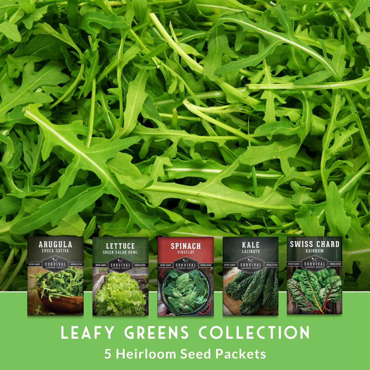 Survival Garden Seeds Lacinato kale leaves for hearty sautés and soups