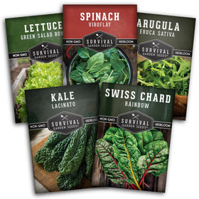 Survival Garden Seeds spinach leaves for fresh home harvests and quick salads